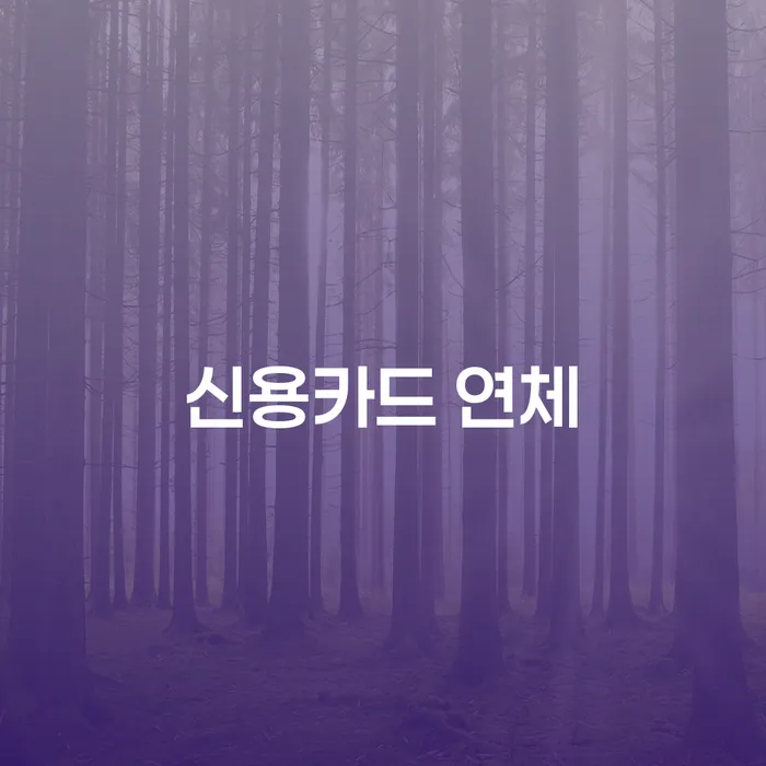 개인회생금지명령기각 카드빚 연체 결정나고