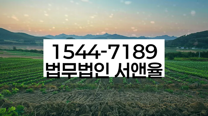 개인회생 비트코인