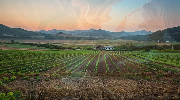 도박빚개인회생