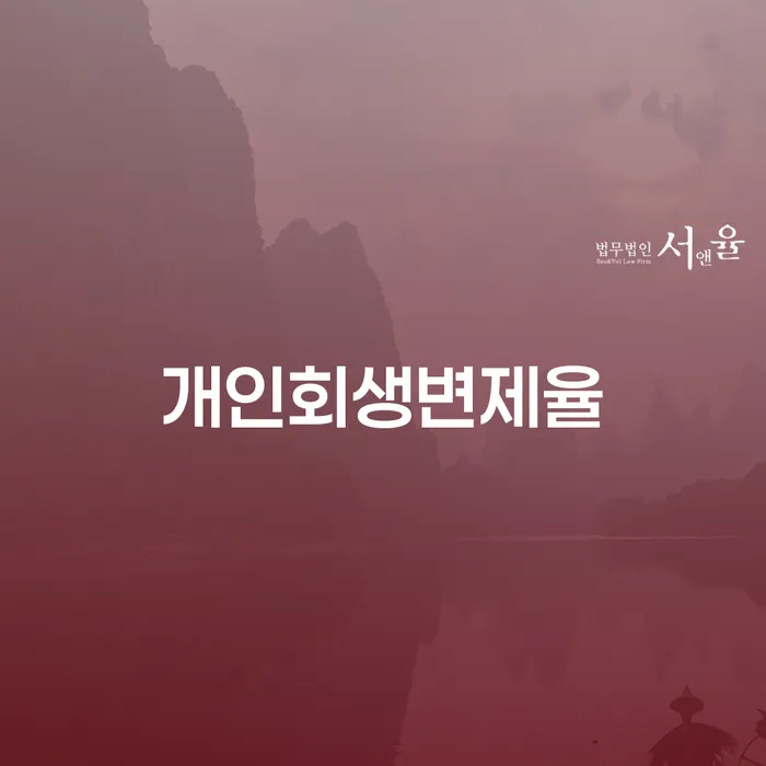 제주시 채무자회생및파산에관한법률 개인회생 검토하여