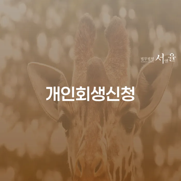 김해시 개인회생면책 빚 합법적인 빠른방법 믿고 진행 할 수 있는