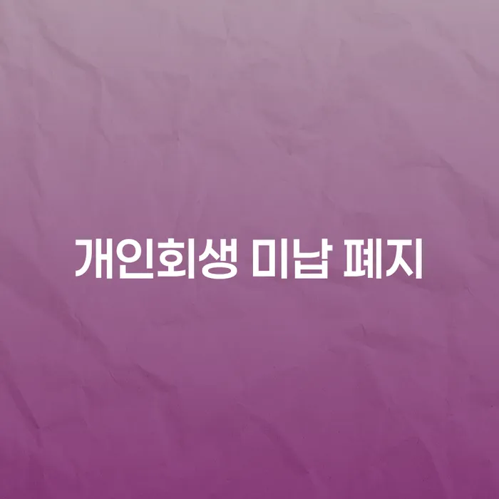 대전광역시 사채빚 개인회생으로 해결방법 어떻게 해야