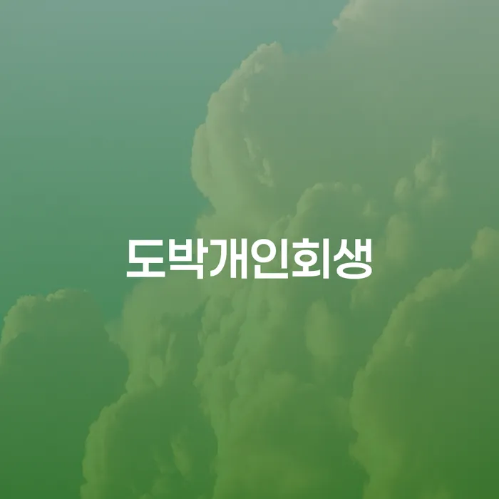 김해시 무서류모바일대출 연체 시 개인회생 위험감소