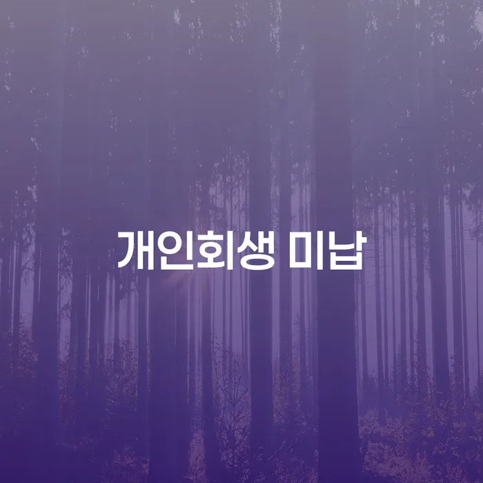 합천군 신용카드대출 연체 시 개인회생,개인파산으로 상담으로 확인하고