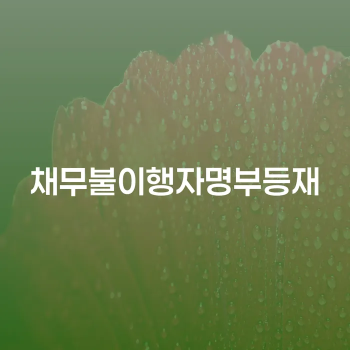가평군 부산개인회생비용 대출 연체 개인회생 단점을