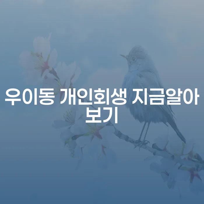 우이동 개인회생 지금알아보기