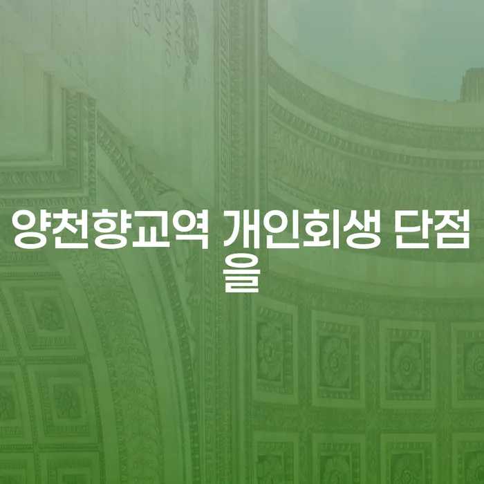 양천향교역 개인회생 단점을
