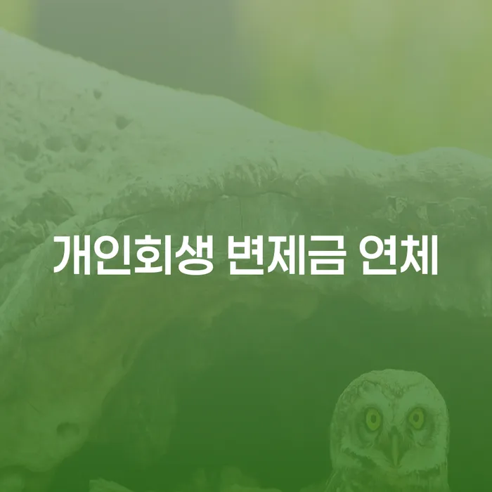 개인회생 변제금 연체 시 어떻게 대처해야 할까요?