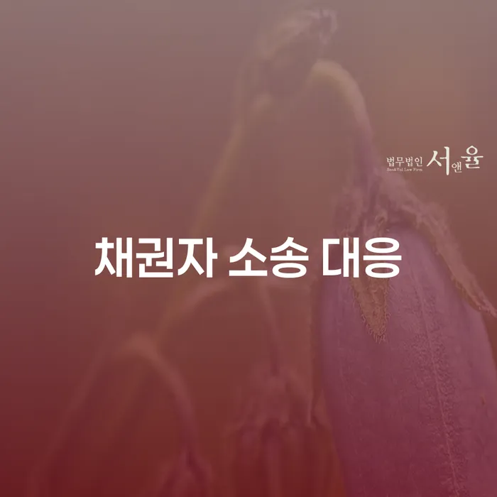 채권자 소송 대응: 억울한 채무 문제를 어떻게 해결할 수 있을까요?