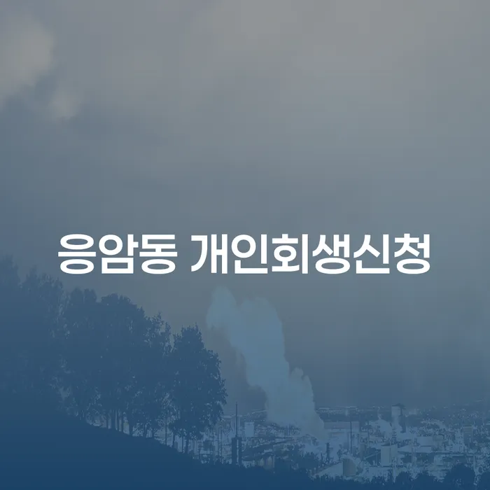 응암동 개인회생신청, 지금 당신에게 필요한 해결책은?