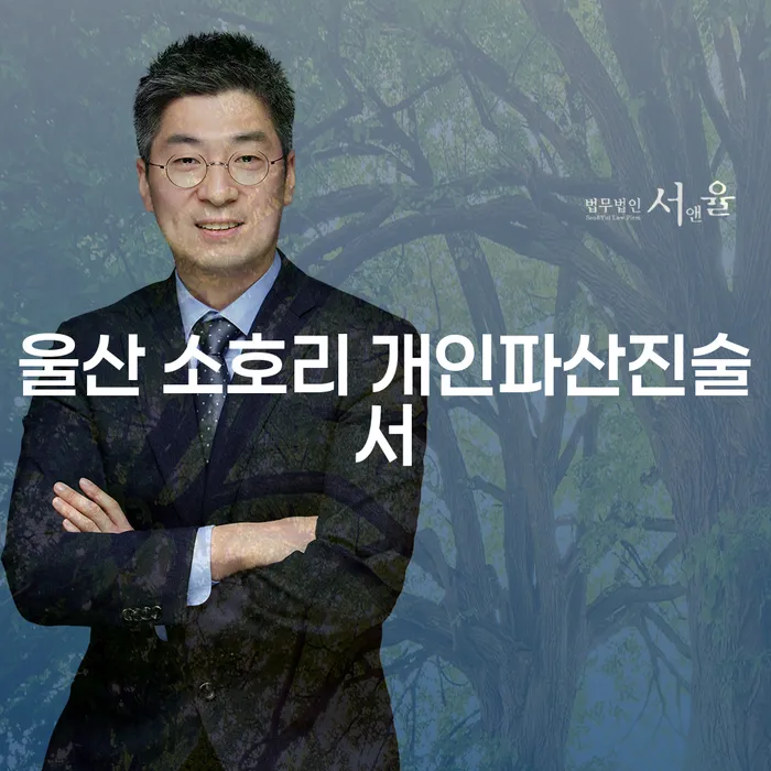 울산 소호리 개인파산진술서 작성, 대구회생변호사의 도움을 받아야 할까요?