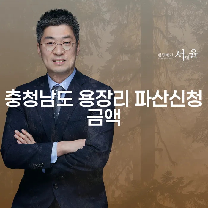 충청남도 용장리에서 파산신청금액과 개인회생구비서류, 어떻게 준비해야 할까요?