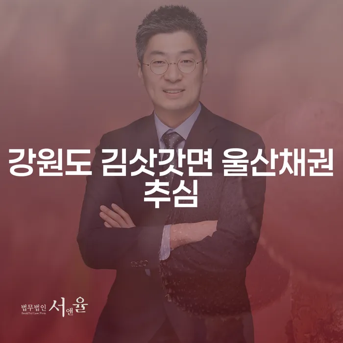 강원도 김삿갓면 울산채권추심과 미납대출 문제, 어떻게 해결할까?